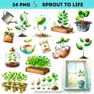 Imágenes prediseñadas de brotes de acuarela, ilustraciones del proceso de crecimiento de las plantas, PNG del proceso de crecimiento de las plantas, imágenes prediseñadas de plántulas en macetas, imágenes prediseñadas de primavera