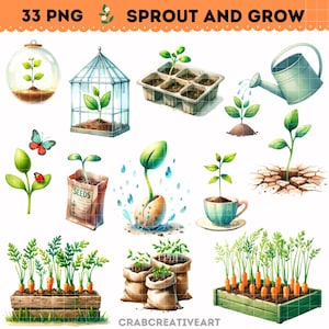 Imágenes prediseñadas de brotes y crecimiento en acuarela - Imágenes prediseñadas de plántulas en macetas - Imágenes prediseñadas de plantas de plántulas - Ilustraciones de plantas de plántulas de primavera - Crecimiento de plantas