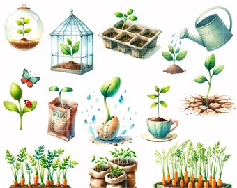 Watercolor Sprout & Grow Clipart - Potted Seedlings Clipart - Seedlings Plants PNG - Spring Seedlings Plant Illustrations - Plant Growth