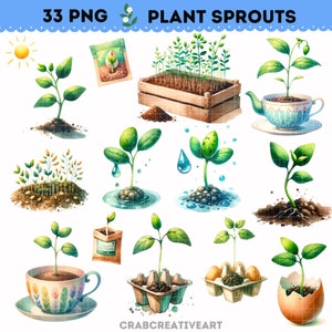 Imágenes prediseñadas de brotes de plantas de acuarela, ilustraciones del proceso de crecimiento de las plantas, PNG del proceso de crecimiento de las plantas, imágenes prediseñadas de plántulas en macetas, imágenes prediseñadas de primavera