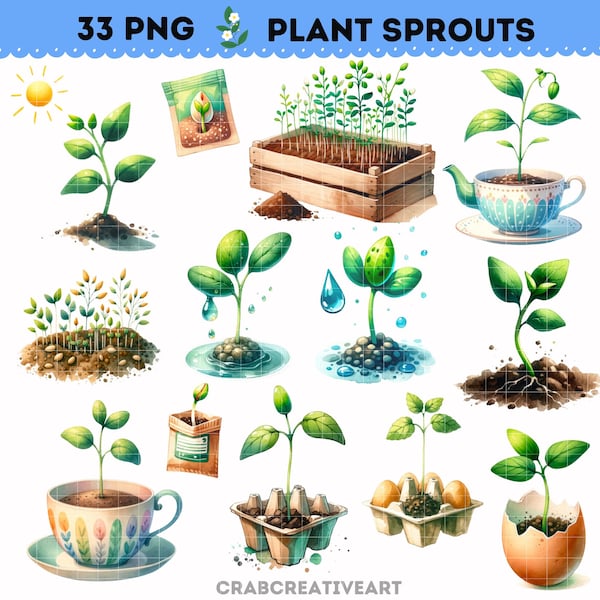 Watercolor Plant Sprouts Clipart, Plant Growth Process Illustrations, Growing Plant Process PNG, Potted Seedlings Clipart, Spring Clipart