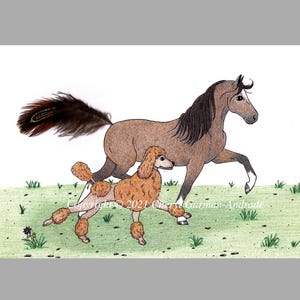 May include: A hand-drawn illustration of a brown horse and a poodle running across a grassy field. The horse has a dark mane and tail, and the poodle is light brown. The background is a simple green field.