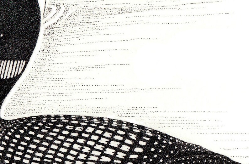 ACEO Common Loon Pair Pen and Ink Stippling Print.