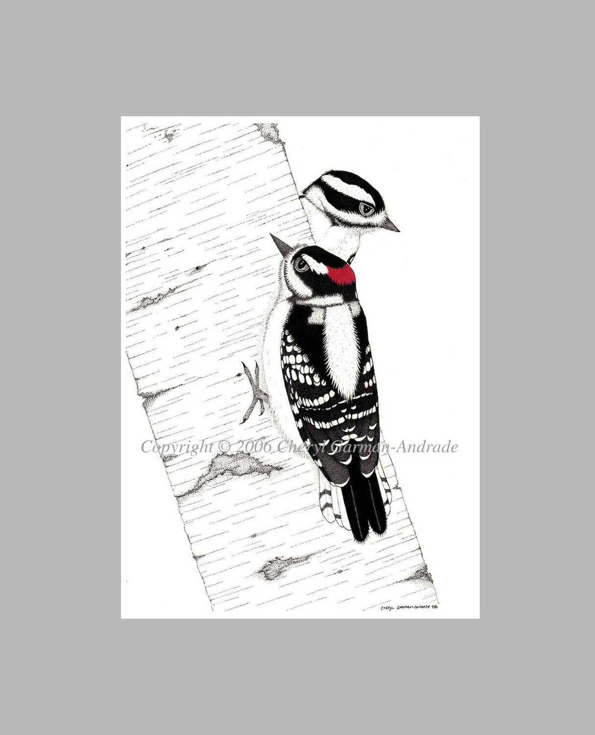 Wild Woodpecker Etsy