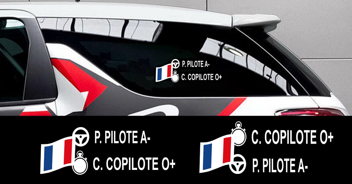 Personalized Driver/co-pilot Car Sticker | Windshield Name Sticker ...