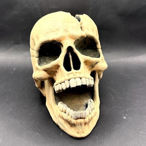 Handpainted Realistic Skull Dice Tower | Gothic TTRPG Accessory, Halloween Decor