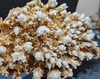 grote koraalcalcietcluster met spectaculaire calcietbloemen.