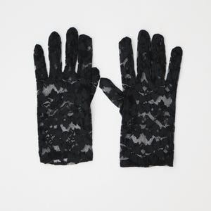 May include: A pair of black lace gloves. The gloves have a delicate floral pattern.
