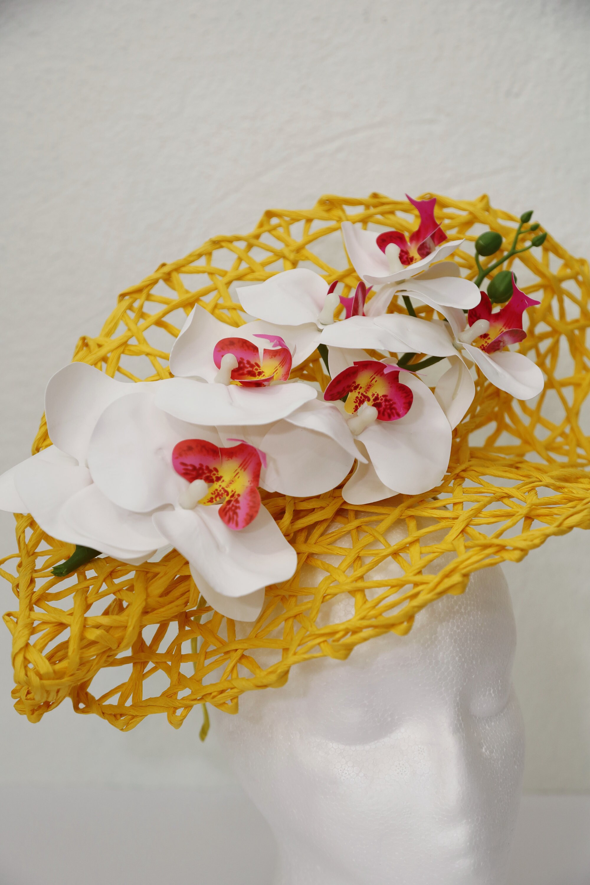 Yellow Kentucky Derby Hatinator White Orchid Flower 
