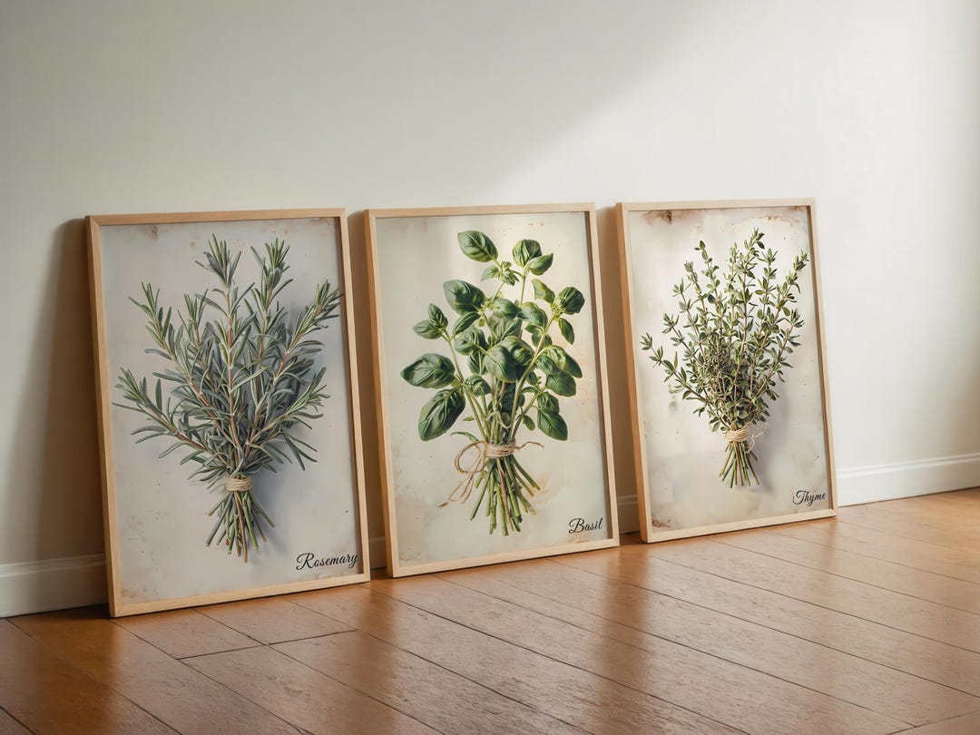 Herb Wall Art Set, Vintage Botanical Prints, Rosemary, Basil, Thyme ...