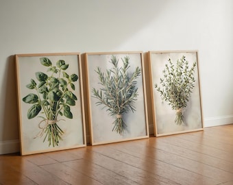 May include: Three framed botanical prints featuring illustrations of herbs: basil, rosemary, and thyme. Each print showcases a detailed depiction of the herb tied with twine against a neutral background, set in a light wood frame.