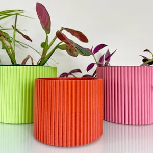 May include: Three cylindrical plant pots with a vertical ribbed texture. The pots are coloured in bright lime green, vibrant orange, and soft pink. Each pot contains a green and purple houseplant with pointed leaves extending from the top.