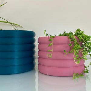 Bubble Plant Pot: Colourful Plant Based Indoor Planter