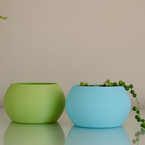 May include: Two spherical planters with smooth matte finishes. One planter is lime green and empty, while the other is light blue and contains a trailing string of pearls succulent plant with small round green leaves hanging over the side.