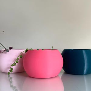 May include: Three rounded planters in light pink, vibrant hot pink, and deep teal. The light pink planter contains a trailing string of pearls plant with small green spherical leaves and thin stems. Each planter has a smooth, matte finish.