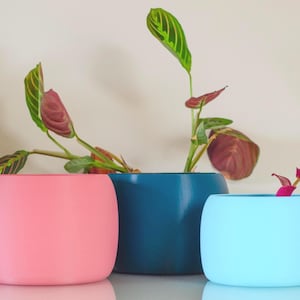 Vibrant Pot for Houseplants, Smooth Curve Design, Indoor Plant Pot, Gift for Plant Lovers, Colourful Planter