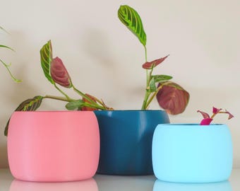 Vibrant Pot for Houseplants, Smooth Curve Design, Indoor Plant Pot, Gift  for Plant Lovers, Colourful Planter - Etsy