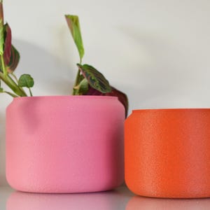 May include: A cylindrical pink planter containing a green and red patterned prayer plant, positioned next to a smaller, empty cylindrical orange planter. Both planters feature a textured, matte finish and a rounded rim design.