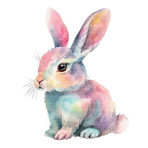 Bunny Clipart Bunny with Butterfly Happy Easter Bunny clipart Cute bunny 12 JPGs Commercial use Clip art Digital Download Card Making