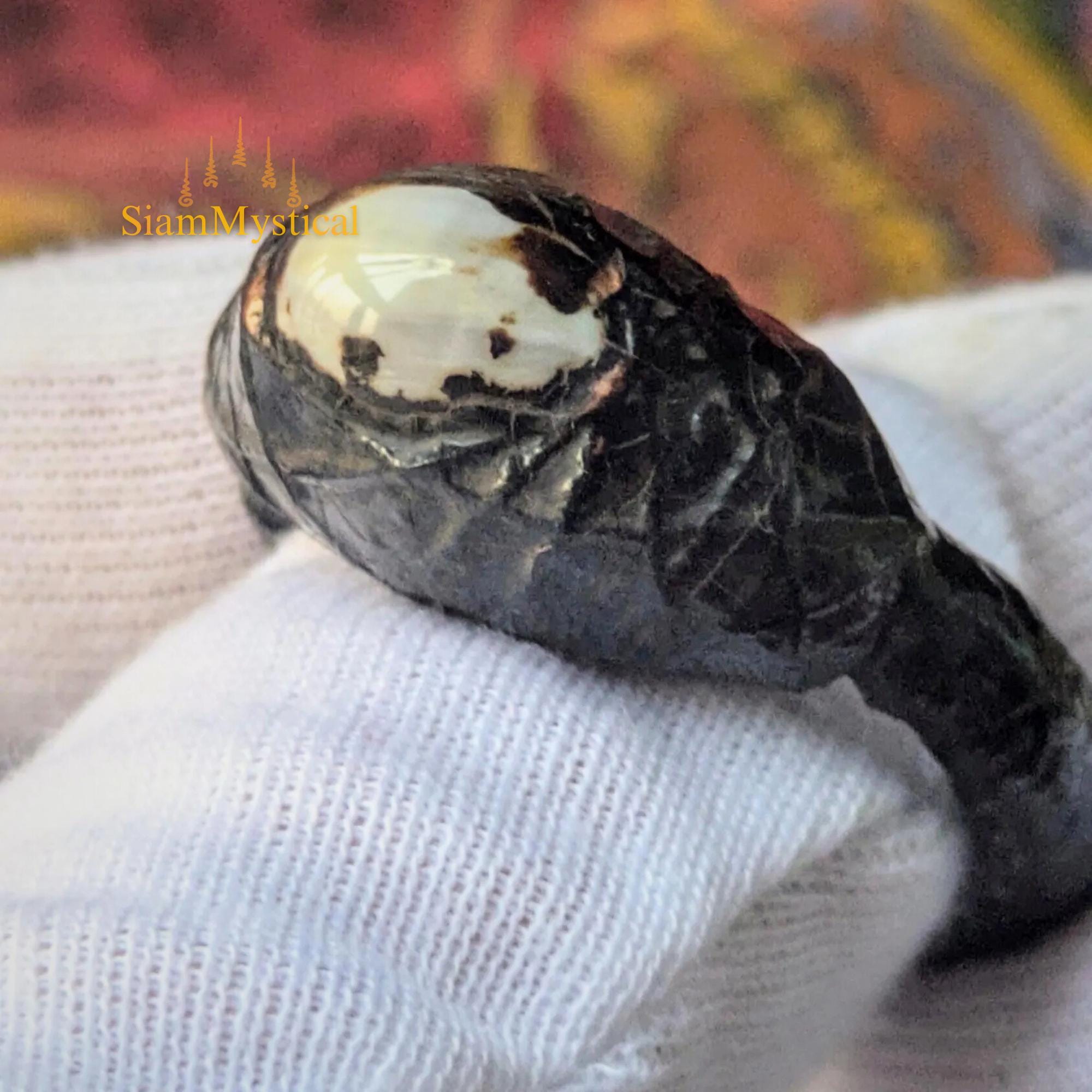 Anillo Maestro Personalizado De Poder Mágico - Diseño único Para Sanadores Y Maestros Espirituales