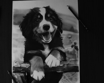 100% handmade custom drawing for pets. Realistic illustration made by professional artist. Made of graphite