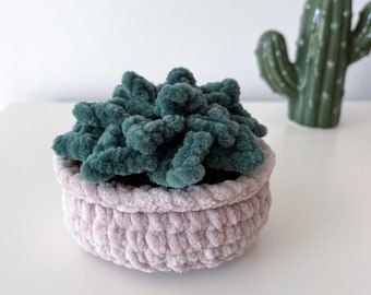 Low crochet plant | Artificial plant | Succulent plant | Interior decoration