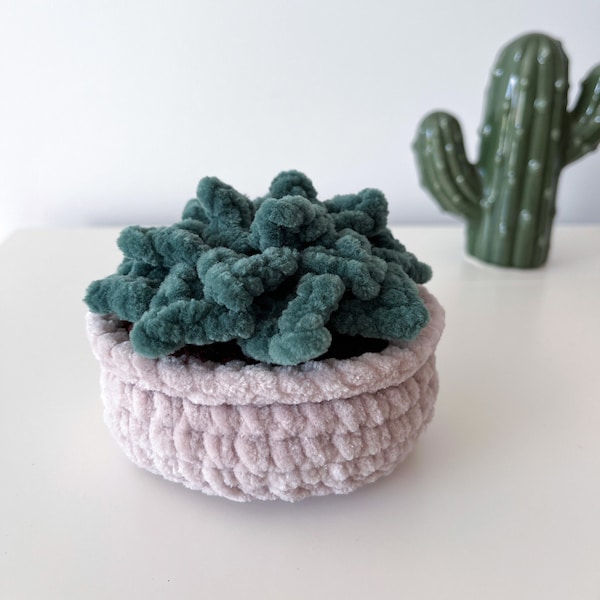 Plante basse crochet |  Plante artificielle  | Plante grasse | Décoration intérieur