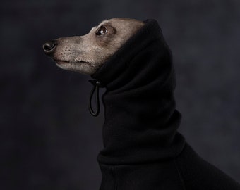 May include: A small, grey Italian Greyhound dog wearing a black hooded sweater. The dog is looking up and to the left.