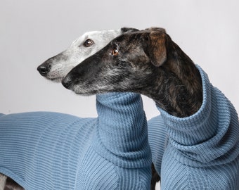 Cozy Sweater for Italian Greyhounds, Whippets & Greyhounds | Handcrafted Cotton Wool Pullover for Sighthounds