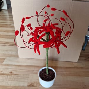May include: A handcrafted red flower arrangement in a white pot. The flower has long, thin stems with red, fuzzy blooms. The stem is green and the pot is filled with brown material. The arrangement is on a wooden floor.