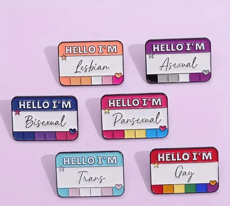LGBTQ Pride Enamel Pin: Bisexual, Pansexual, Asexual, Trans, Gay ...