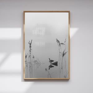 Instant Digital Download | Black and White Fine Art Photography | Copenhagen | Greylag Goose | Scandinavian B&W Decor | Modern Wall Art