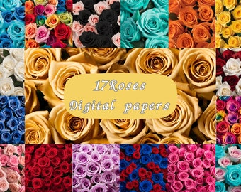 Rose background digital paper flower overlay digital background texture photo