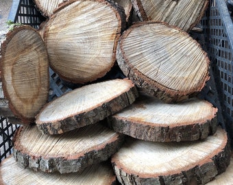 Fette di albero, fette di legno di quercia -13 cm