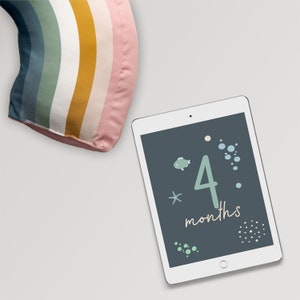 Monatskarten mit Walillustration, Meilensteinkarten, Babyparty-Geschenk, Erinnerungskarten für Babys