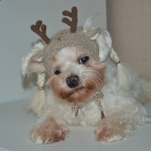 Crochet dog hood, Size - XS for small dog