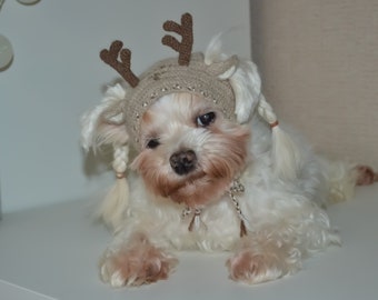 Reindeer dog hood, Size - XS for small dog