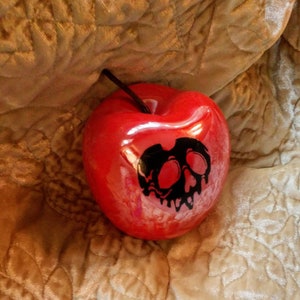 Snow White Poison Apple Skull Briar Rose costume witch seven dwarfs prince charming