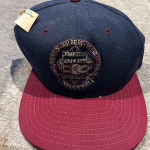 May include: A navy blue and maroon baseball cap with an embroidered patch featuring the text "SABATINO DAY, HULBERT WILLIS SCHMIDT" and "BASEBALL HALL OF FAME INDUCTION".