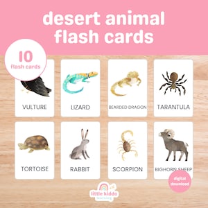 10 Desert Animal Cards | Montessori flashcards | Pre-School Cards | Educational Printable Cards | Instant Download | FlashCards