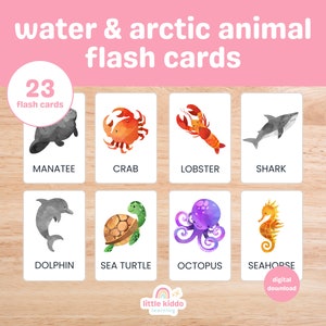 23 Ocean & Arctic Animal Cards | Montessori flashcards | Pre-School Cards | Educational Printable Cards | Instant Download | FlashCards