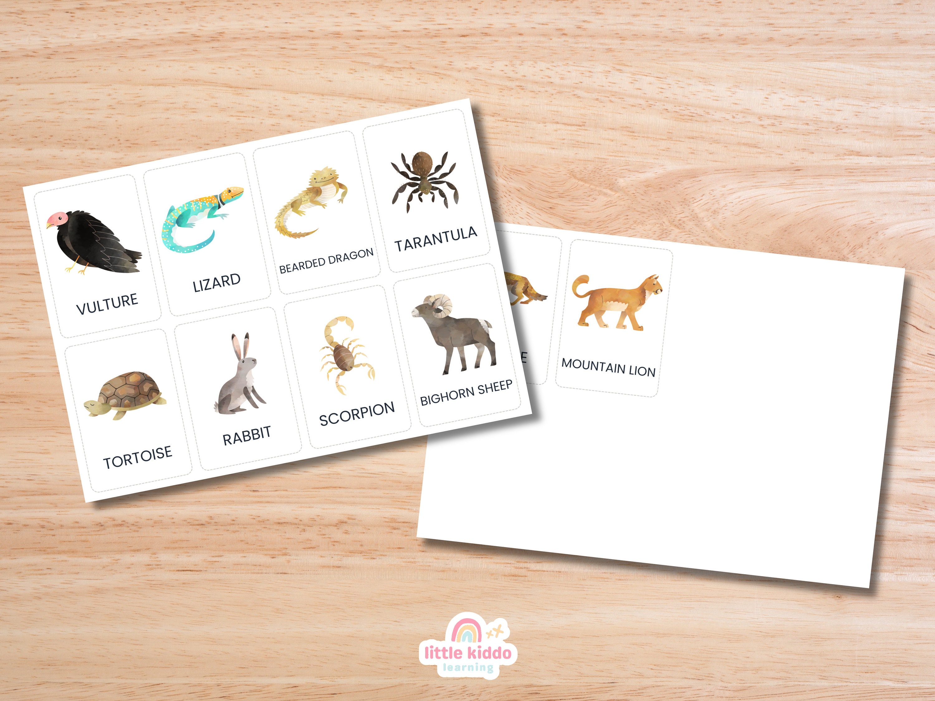 10 Desert Animal Cards | Montessori Flashcards | Pre-school Cards ...