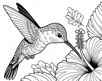 Hummingbird Coloring Page | Kids Printable Coloring Page | Hibiscus Coloring Page