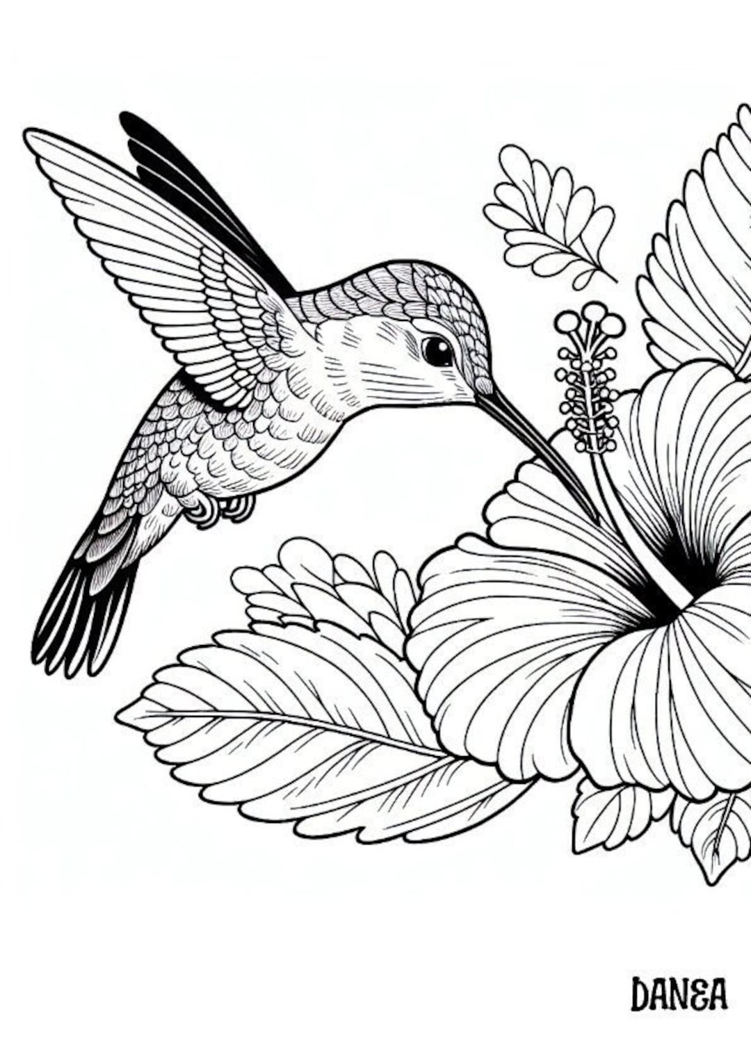 Hummingbird Coloring Page | Kids Printable Coloring Page | Hibiscus ...