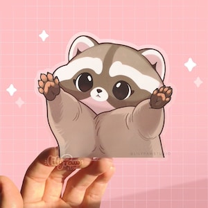Sticker petit raton laveur 4 po | Sticker vinyle imperméable transparent