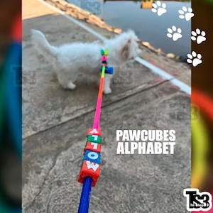 Puede incluir: Un perro blanco pequeño con una correa con detalles coloridos. La correa tiene bloques de alfabeto que deletrean "WOLF" y el texto "PAWCUBES ALPHABET". La correa es rosa, naranja y azul.