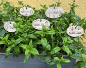 10er Set Kräuterstecker Kräuterschilder, Gartendeko Keramik mit Metallspieß als Halterung,  Deko für Garten, Terrasse oder Balkon