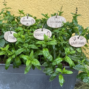 Plantones de hierbas, letreros de hierbas, decoración de jardín de cerámica con brocheta de metal como soporte, decoración para jardín, terraza o balcón, selección de nombres