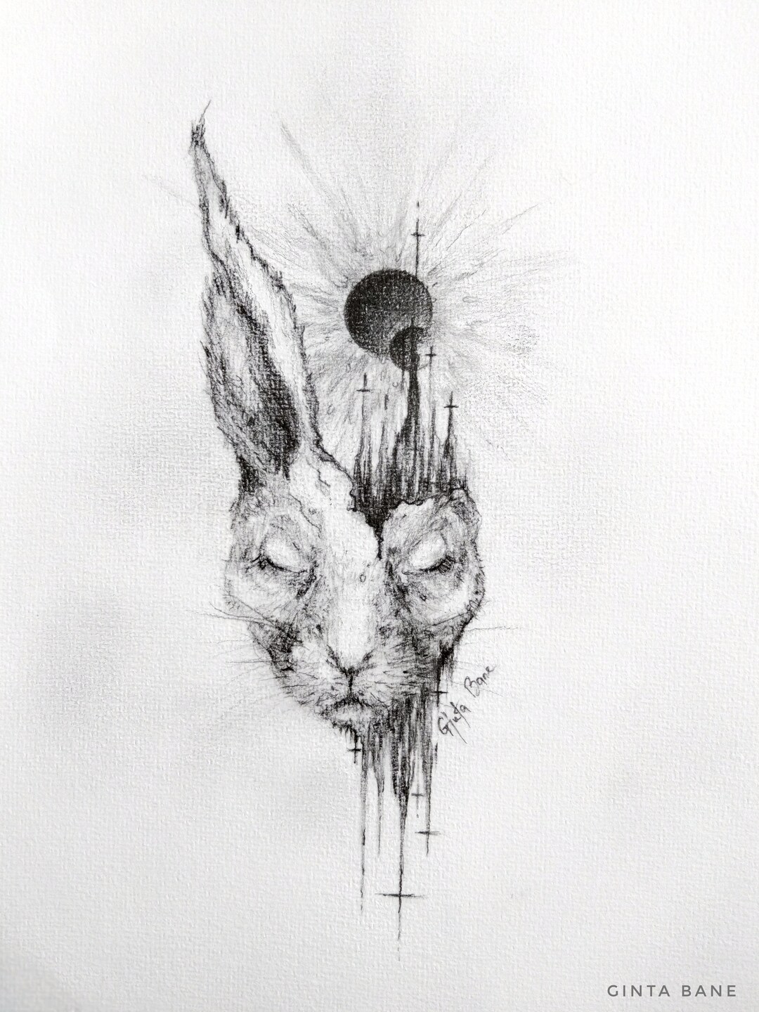 Rabbit. Graphite Pencil Drawing on Paper - Etsy