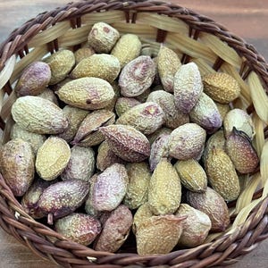 150 Turkish Siirt Pistachios Pistachio Genuine Pistacia Vera Fruit Fresh New Season Seed